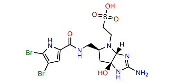 Nagelamide M